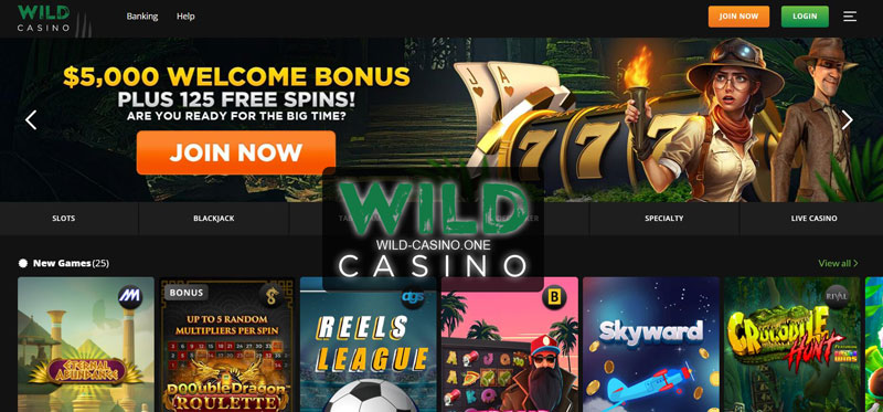 How the Wild Casino Site Works