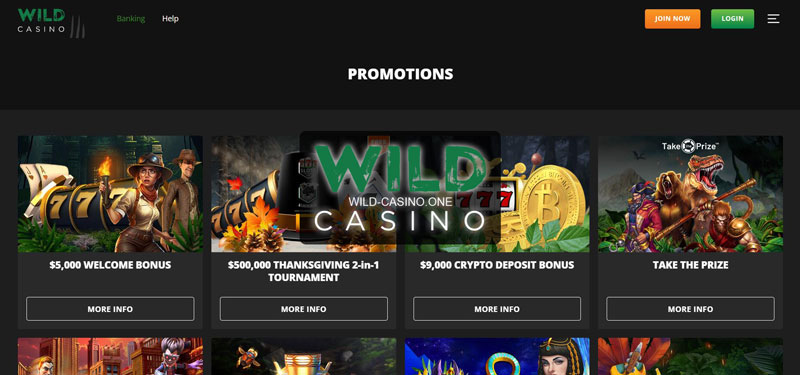 How to open an account at Wild Casino Betting